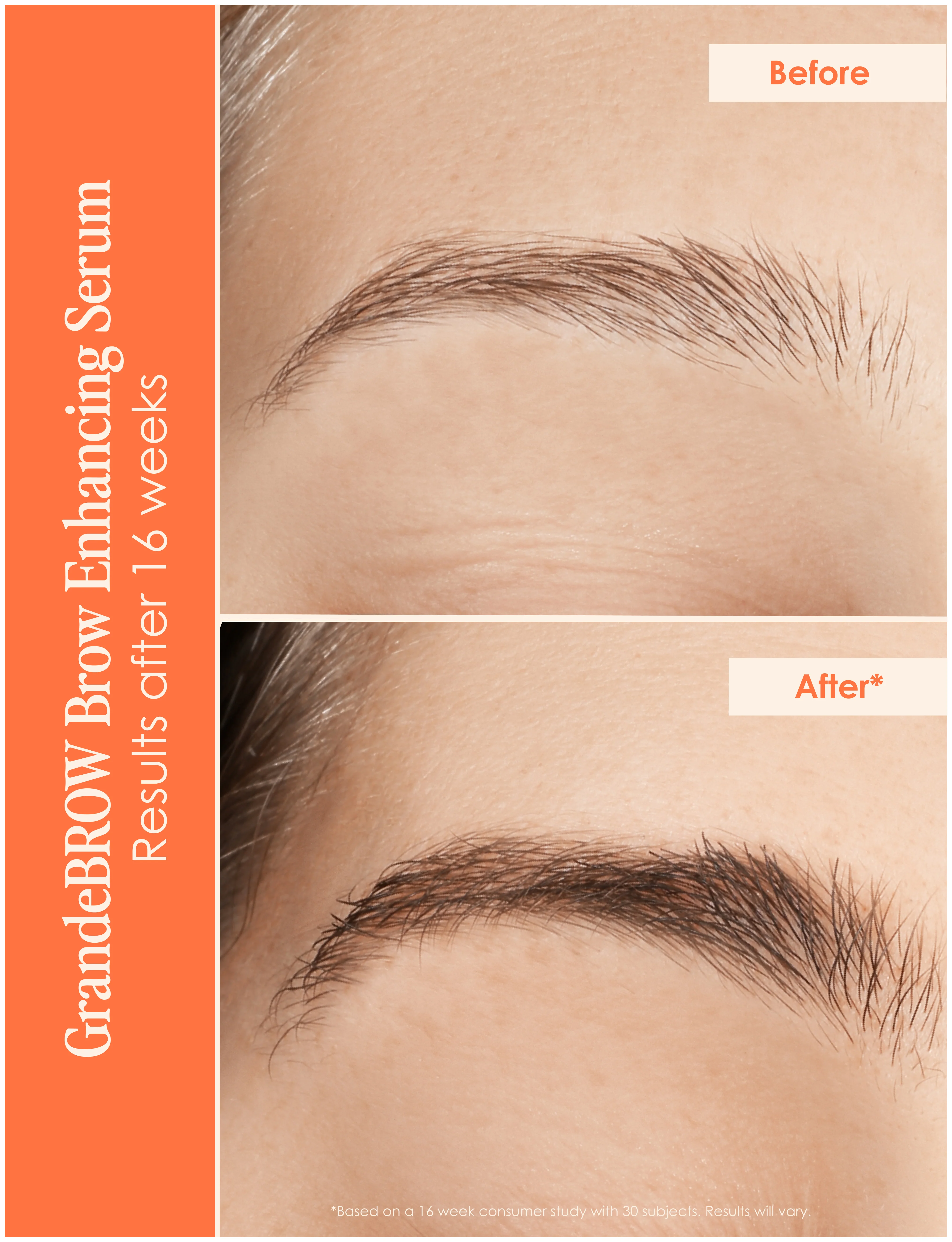 Dynamite Lashes & Brows - Image 4